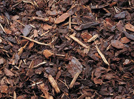 Bark Chippings