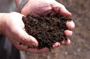 Compost, Peat and Top Soil