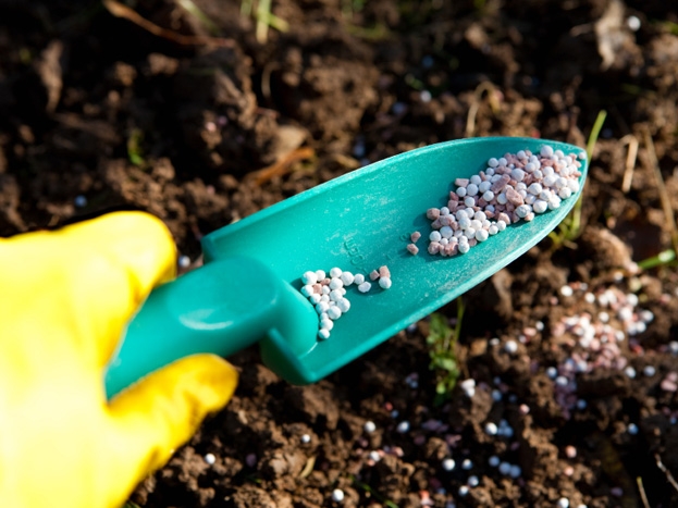 Traditional Fertiliser