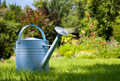 Garden Watering Products