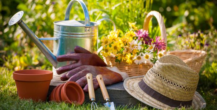 Garden Essentials