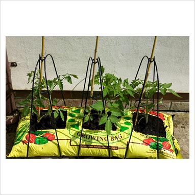 Grow Bags