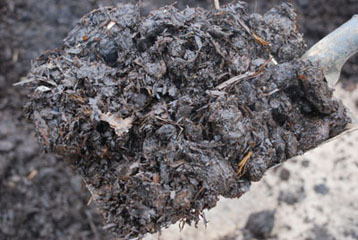 Manure and Soil Conditioners