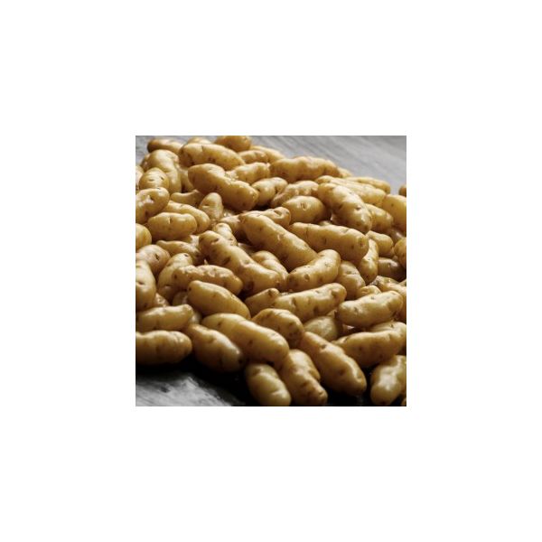 Anya - 2kg Pack