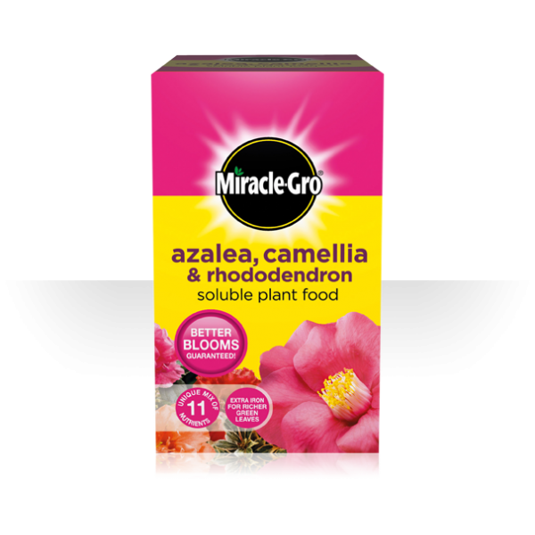 Miracle-Gro® Azalea, Camellia & Rhododendron Soluble Plant Food - 500g