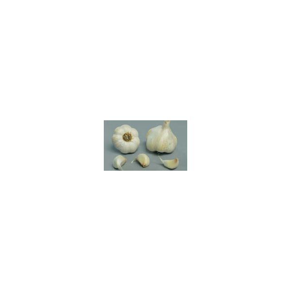 Vigour Garlic - 500g Pack