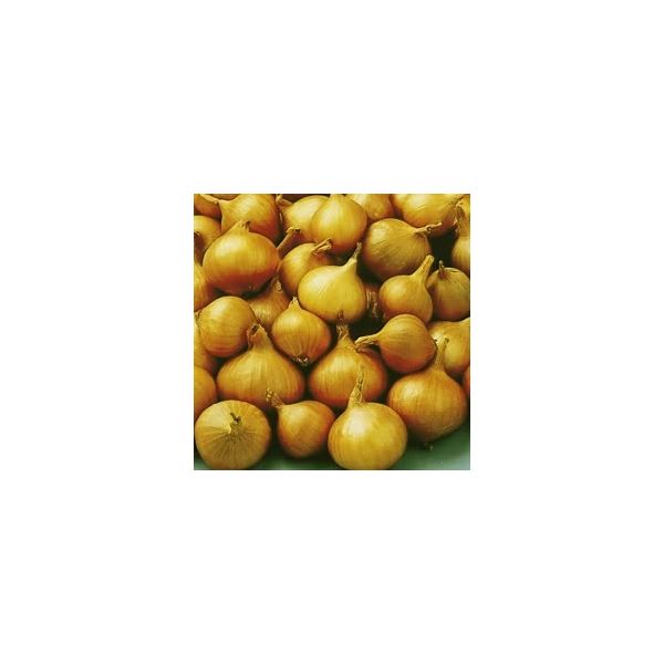 Yellow Moon Shallots - 500g Pack