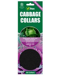 Vitax Cabbage Collars - 30 pack