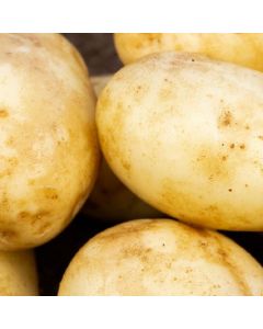 Caledonian Pearl - 2kg pack