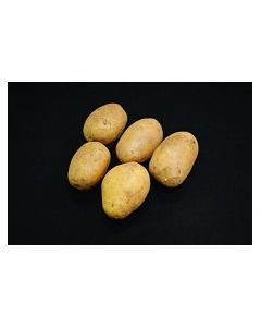 Duke of York - 2kg Pack