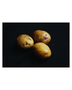 Foremost - 2kg Pack
