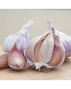 Germidour Garlic - 250g Taster Pack