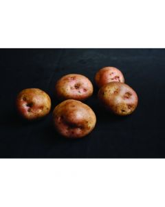 Kerrs Pink - 2kg Pack