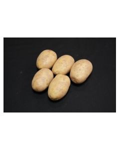 Maris Piper - 2kg Pack