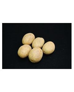 Nadine - 2kg Pack
