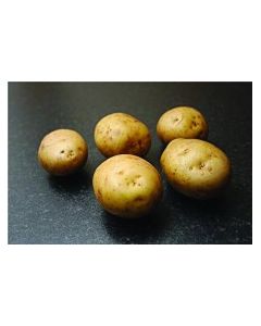 Orla - 2kg Pack