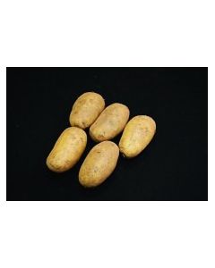 Sharpes Express - 2kg Pack