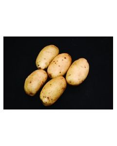 Ulster Prince - 2kg Pack