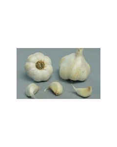 Vigour Garlic - 500g Pack